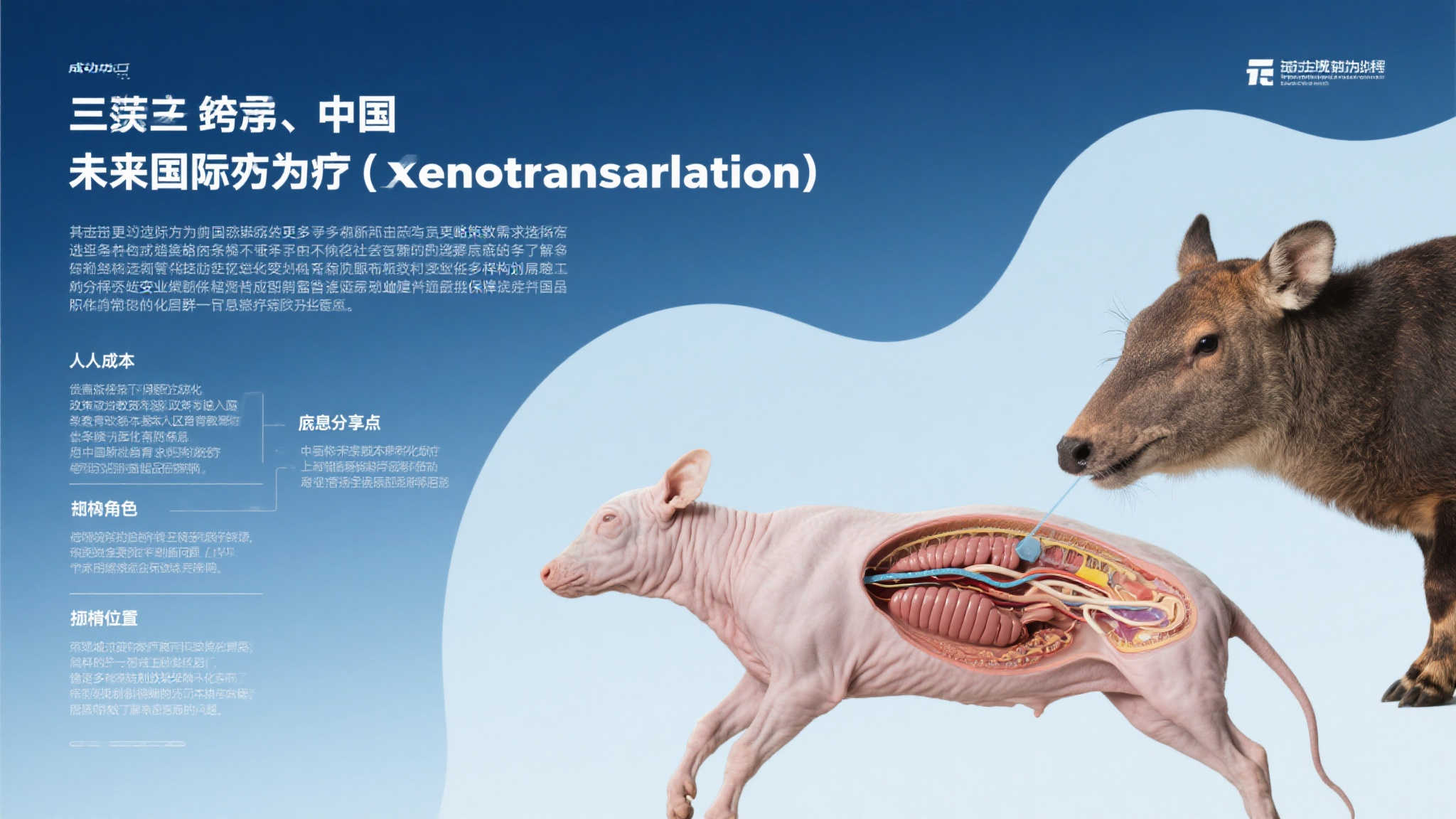 S15 lol 决赛中心